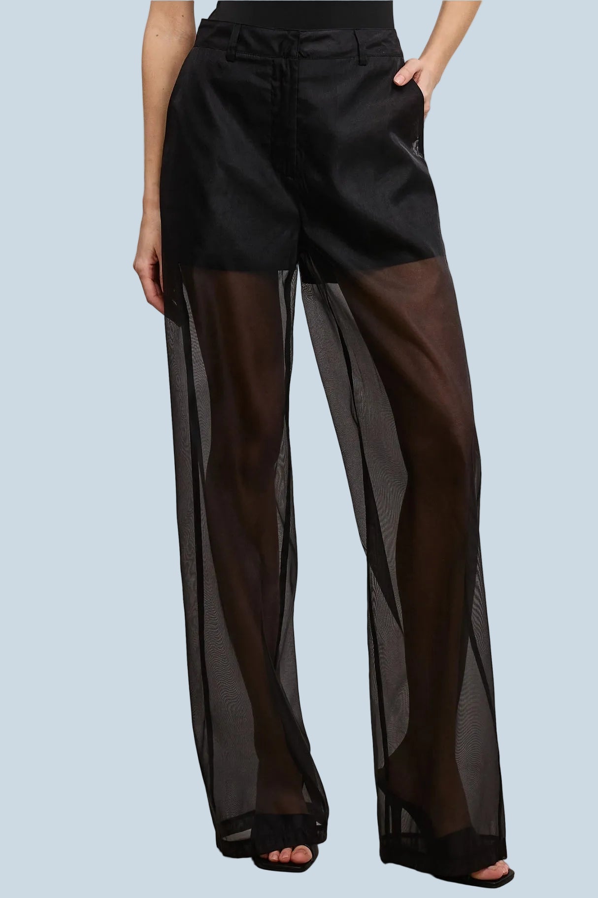 Onyx Organza Pant